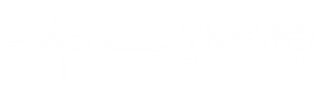 Triami logo